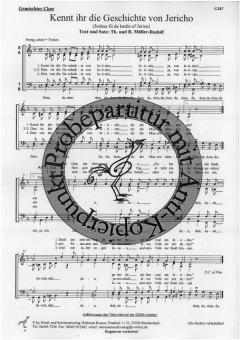 Kennt ihr die Geschichte von Jericho 