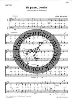 Da pacem, Domine (Horst Best) 
