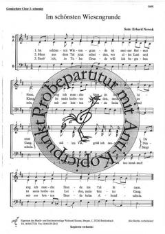 Im schönsten Wiesengrunde (Friedrich Silcher) 