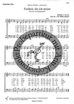 Freiheit, die ich meine (Karl A. Groos) 