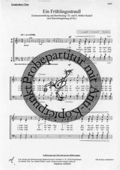 Ein Frühlingsstrauss (R.+ Th. Möller-Rudolf) 