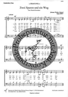 Zwei Spuren und ein Weg 