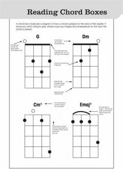 The Ukulele Playlist: Orange Book im Alle Noten Shop kaufen