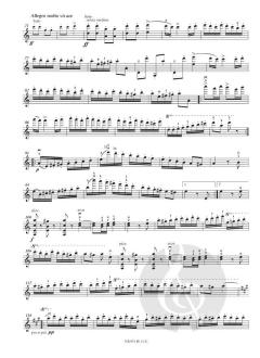 Zigeunerweisen op. 20 von Pablo de Sarasate 