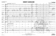 Sweet Caroline von N. Diamond 