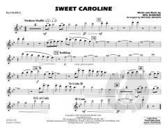 Sweet Caroline von N. Diamond 