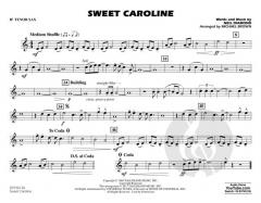 Sweet Caroline von N. Diamond 