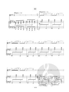 A Mosaic in 10 Pieces von Richard H. Walthew 