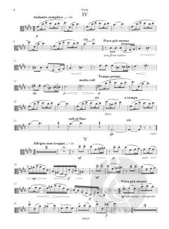 A Mosaic in 10 Pieces von Richard H. Walthew 