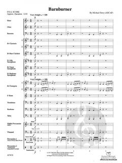 Barnburner von Michael Story 