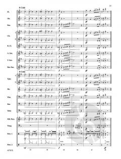 Barnburner von Michael Story 