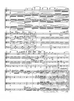 Streichquartett Es-Dur op. 127 von Ludwig van Beethoven im Alle Noten Shop kaufen - TP929