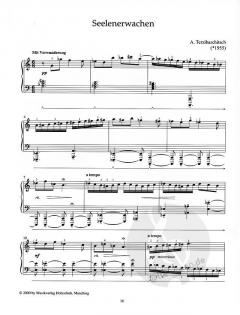 Apokalyptische Bilder - Durch die Dunkelheit zum Licht 