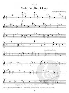 Nachts im alten Schloss von Andrea Holzer-Rhomberg 
