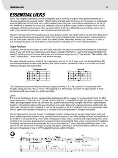 Play Like Stevie Ray Vaughan von Stevie Ray Vaughan 