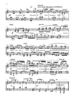 Gesamtausgabe Serie IV (Instrumentalmusik) Band 10 von Hanns Eisler 