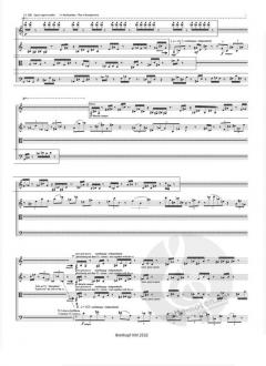 Torso V von Márton Illés für Streichquartett im Alle Noten Shop kaufen (Partitur)