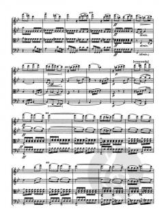 Streichquartett Nr. 2 B-Dur B 17 von Antonín Dvorák im Alle Noten Shop kaufen