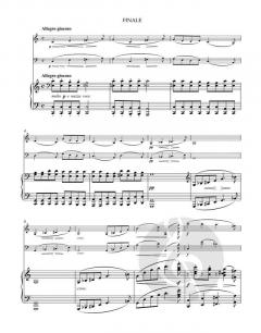 Trio op. 87 (Johannes Brahms) 