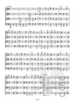 Variationen über ein unbekanntes Thema von Luboš Fišer für Streichquartett im Alle Noten Shop kaufen