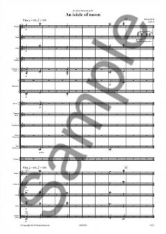 An Icicle of Moon von Simon Holt 