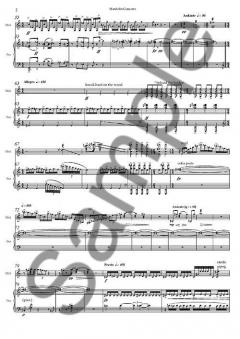 Mandolin Concerto - Piano Reduction von Avner Dorman im Alle Noten Shop kaufen