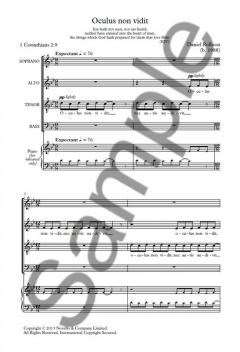 Oculus Non Vidit von Daniel Rollison 