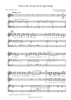 Hvad Er Det, Der Gor Jul Til Noget Sarligt (Peter Sander Andersen) 