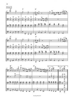 The Groove Cello ConneXion von Gunther Tiedemann 