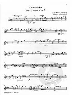 The Flute Playlist von Barrie Carson-Turner 