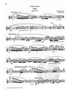 Schott Flöten-Bibliothek im Alle Noten Shop kaufen