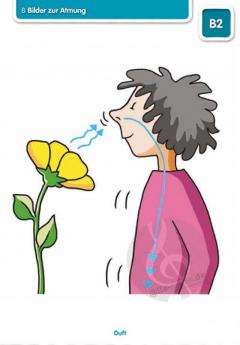 Stimmbilder von Tjark Baumann 