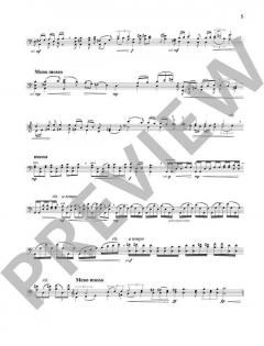 Concerto no. 2 von Pēteris Vasks 