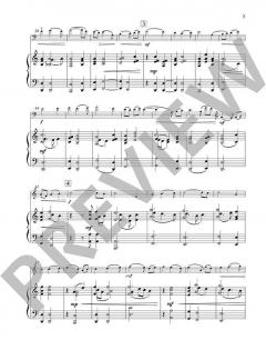 Concerto no. 2 von Pēteris Vasks 