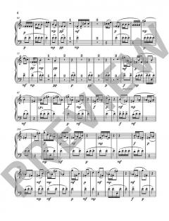 Whirling Peach Blossom von Xuntian He 