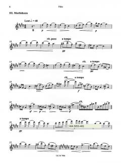 Suite Florentine (1919) von Charles-Marie Widor für Flöte und Klavier im Alle Noten Shop kaufen