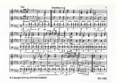 Freude mit Musik (Adi Rinner) 