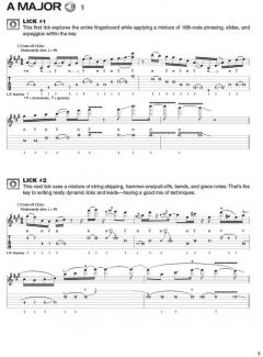 Progressive Rock Guitar Licks 