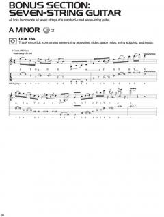 Progressive Rock Guitar Licks 