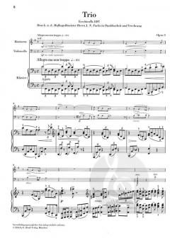 Trio d-moll op. 3 (Alexander von Zemlinsky) 