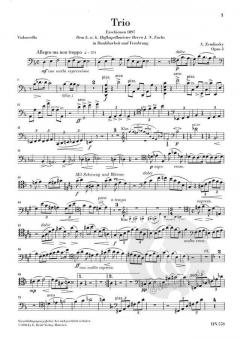 Trio d-moll op. 3 (Alexander von Zemlinsky) 
