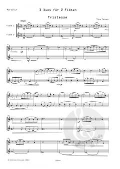 3 Duette von Tina Ternes für 2 Flöten im Alle Noten Shop kaufen