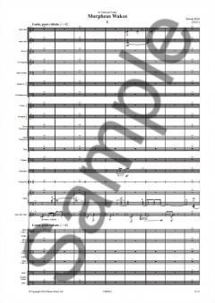 Morpheus Wakes von Simon Holt 