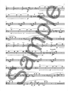 A Walk In The Gardens Of Solitude von Kevin Volans für Violoncello solo im Alle Noten Shop kaufen