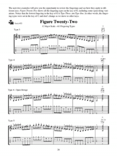 Flatpicking Up The Neck von Jeff Troxel 