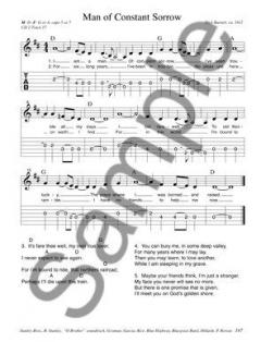 Parking Lot Picker's Songbook: Guitar Edition von Dix Bruce 