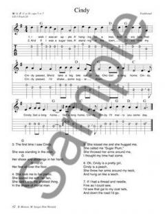 Parking Lot Picker's Songbook: Guitar Edition von Dix Bruce 