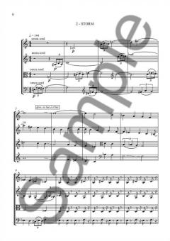 Fools by Heavenly Compulsion von David Stoll 