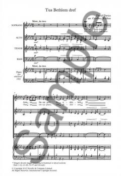Tua Bethlem Dref von Geoffrey Webber 
