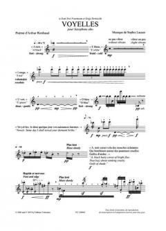 Voyelles von Sophie Lacaze 